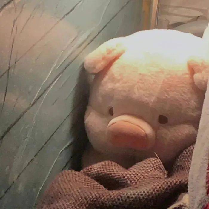 可爱猪猪头像萌萌的猪猪朋友圈封面图