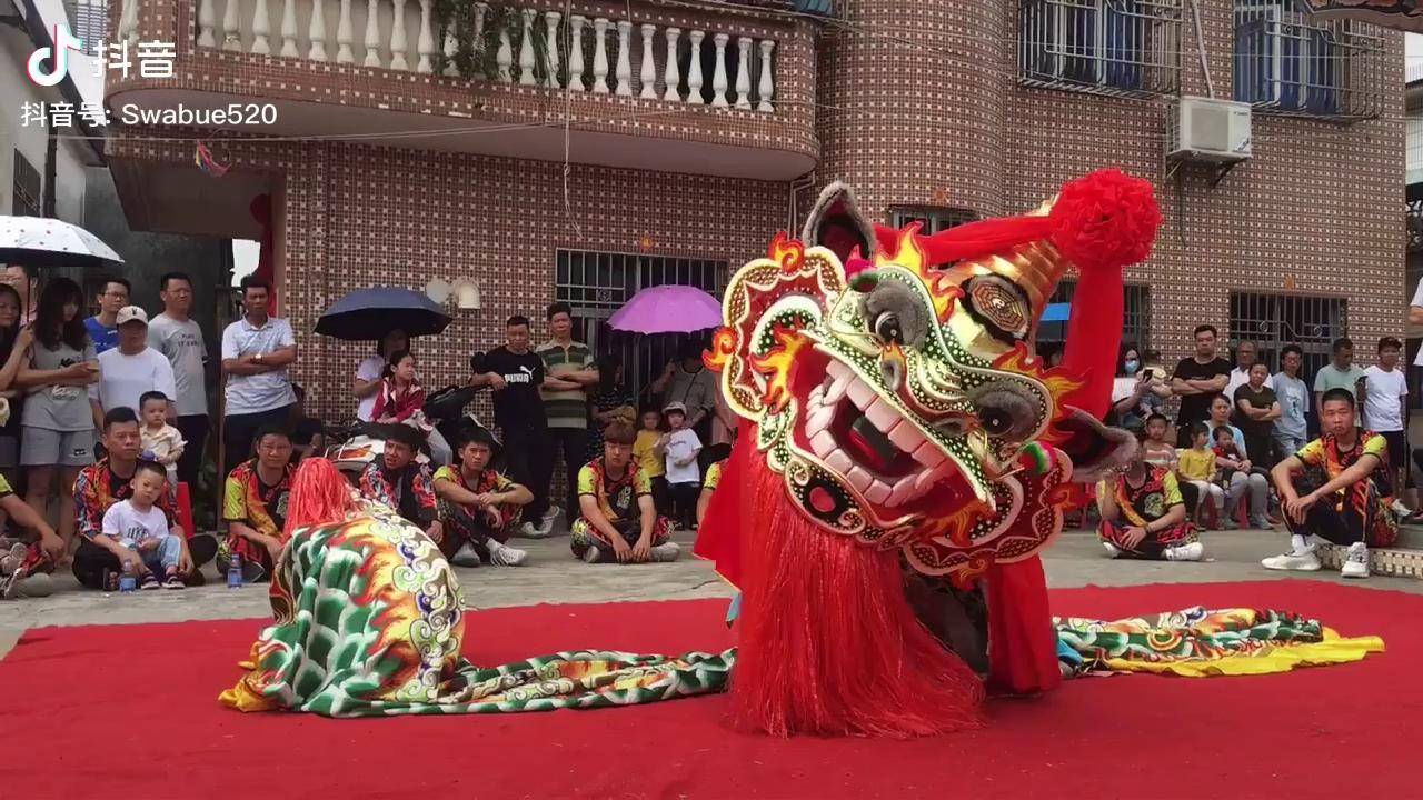 海丰县圆山虎狮图片