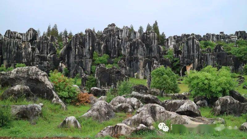 江山胜迹,此石多姿_石林_石峰_生态