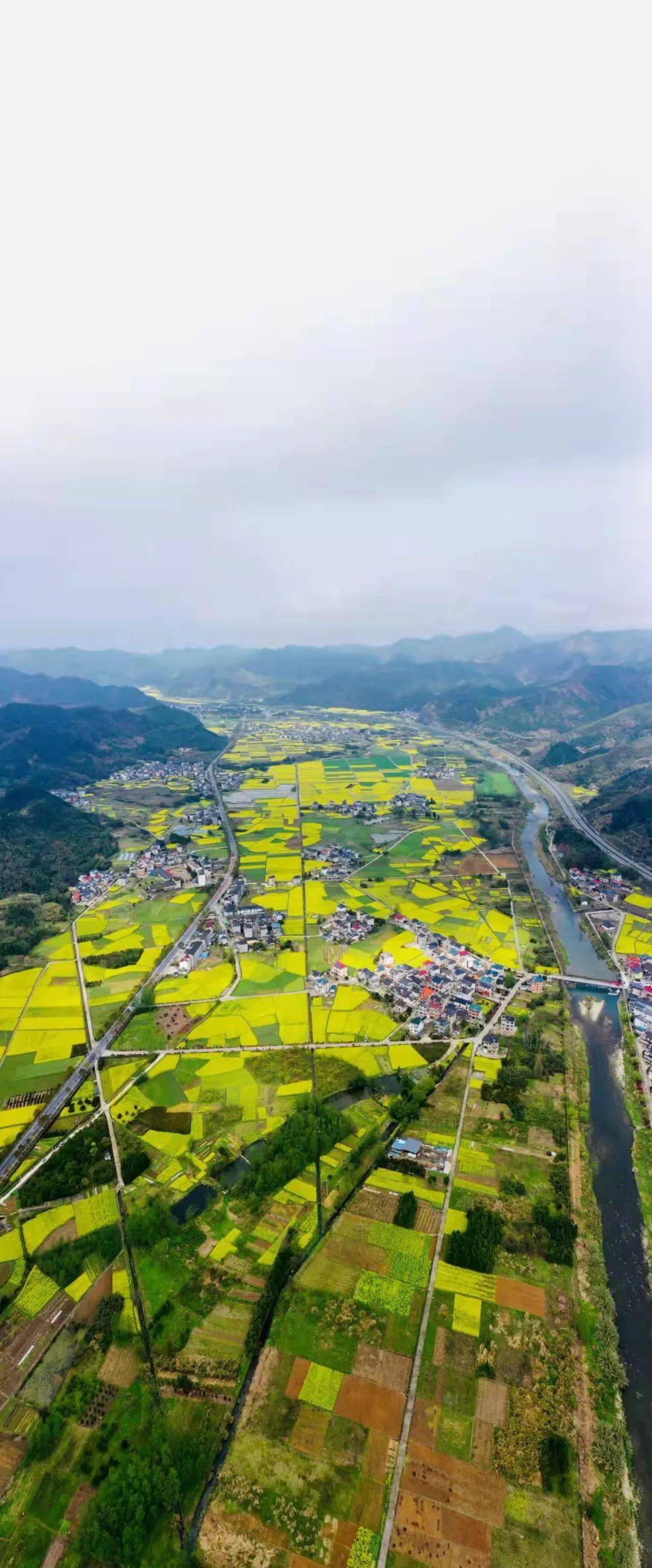 开化县油菜花"合集" | 您有一场与油菜花的"云"约会待赴约……_xibian