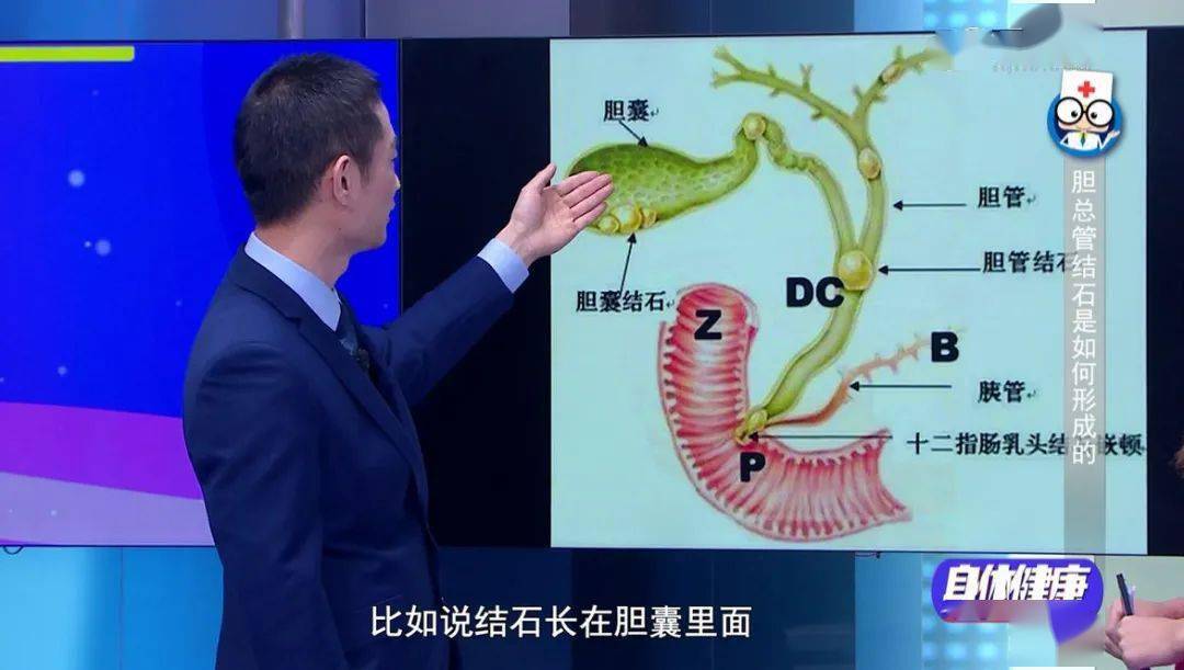 分泌胆汁完成脂肪和溶脂纤维的消化让胆囊把胆汁输送到肠道就会刺激