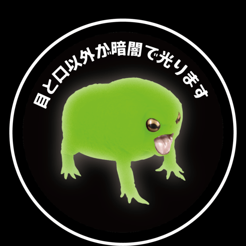 Frog|模玩资讯：SO-TA 拟真生物第四弹 1/1 散疣短头蛙&蜡白猴树蛙扭蛋