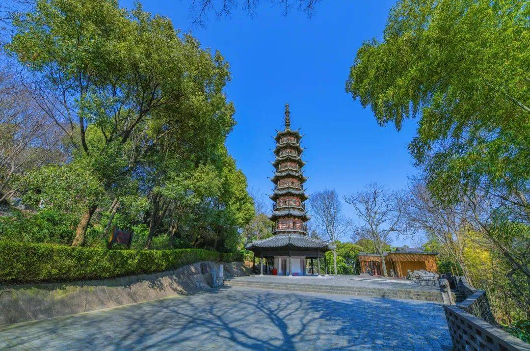 云赏春日佘山美景一切美好都会如约而至