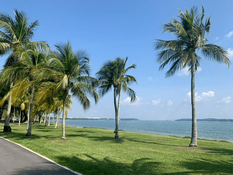 新加坡东海岸公园图片