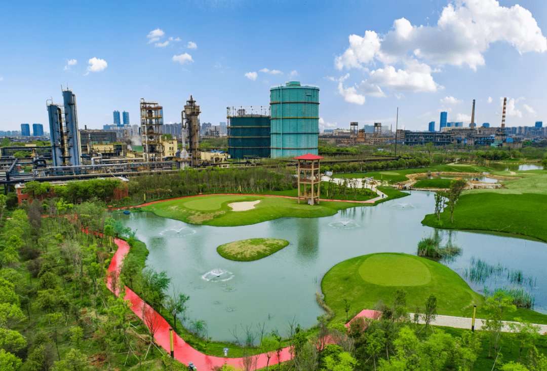 快给它们点赞吧!_钢铁_旅游区_国家