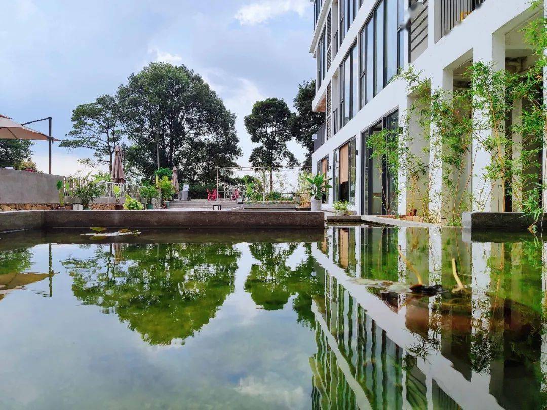 清远大罗山海拔957米的山顶,有一家神仙民宿壹山茶舍,看日出日落,云卷