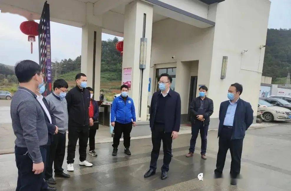 黄炳峰到城区各学校检查指导疫情防控工作_巴马_教育_韦敏