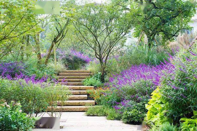 干货关于台阶的植物设计