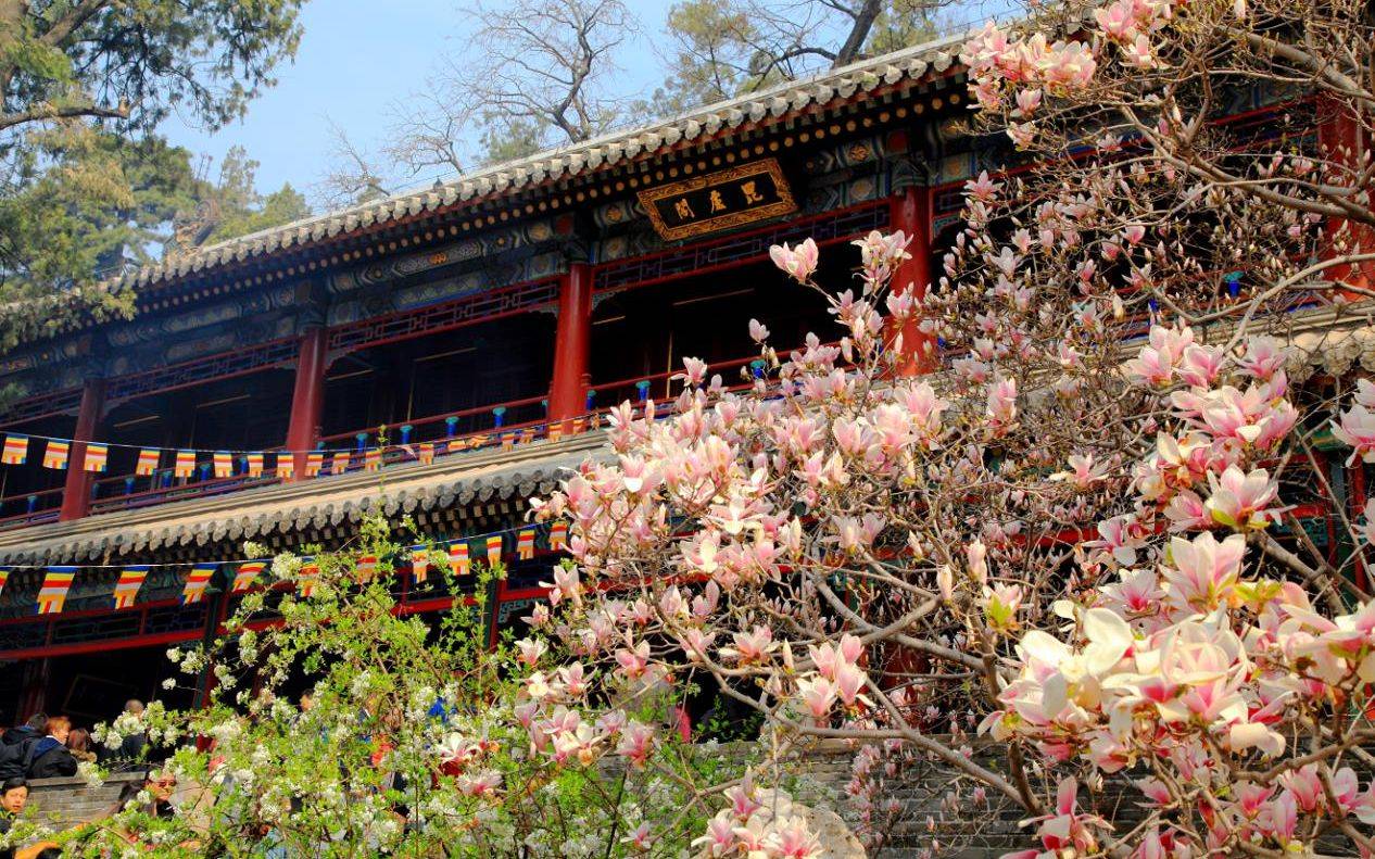 京郊两区推出15条春日赏花精品线路，冬奥赛区五一开门迎客