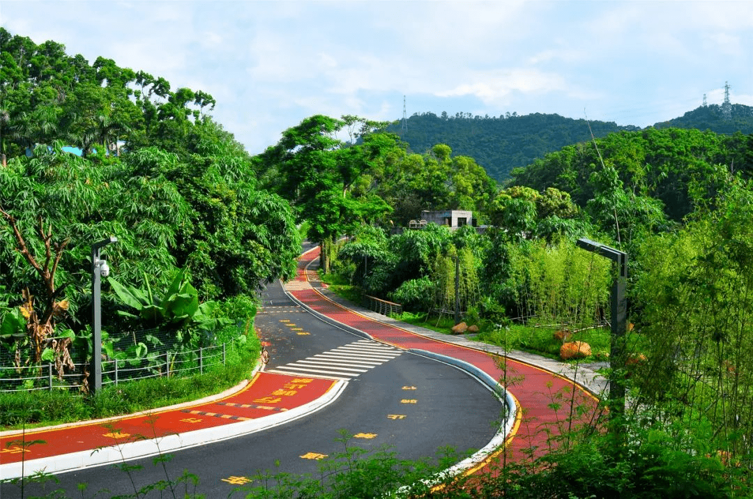 景区|好消息！深圳又一批景区/场馆恢复开放！看看有你想去的吗？