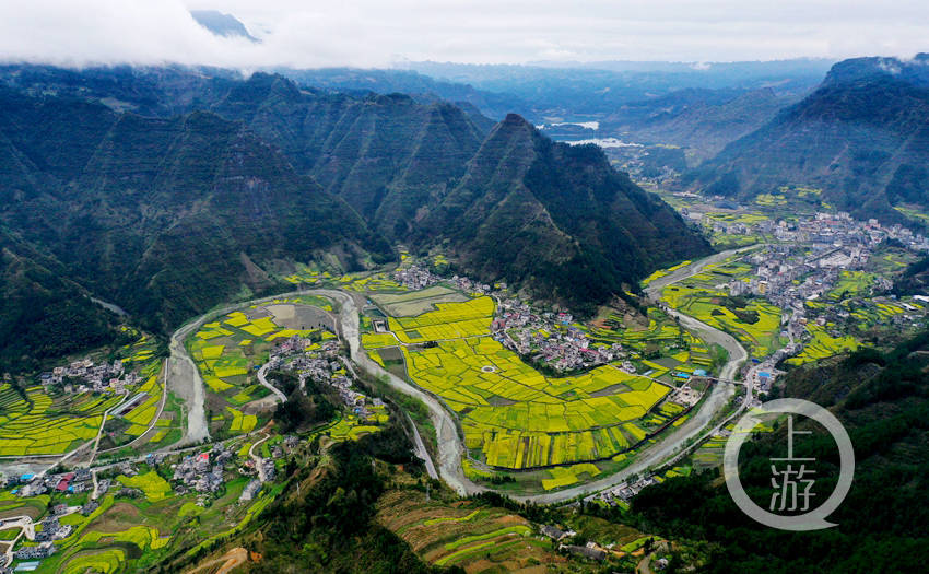 重庆黔江:油菜花似海 山村春如画_小南海镇_乡村_石楠树