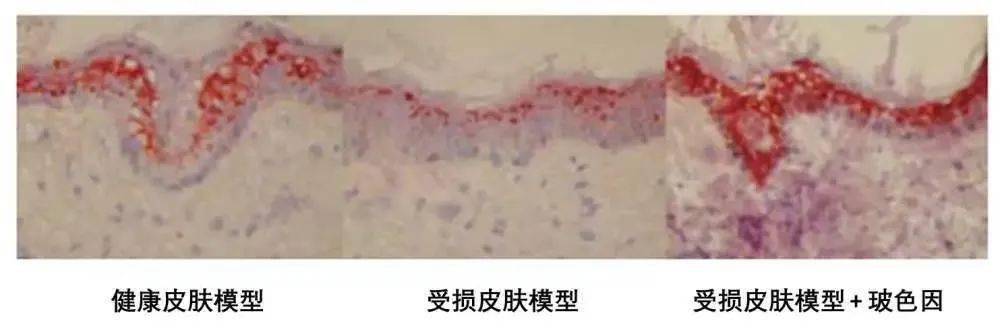 贵妇47岁的她，比22岁还要美
