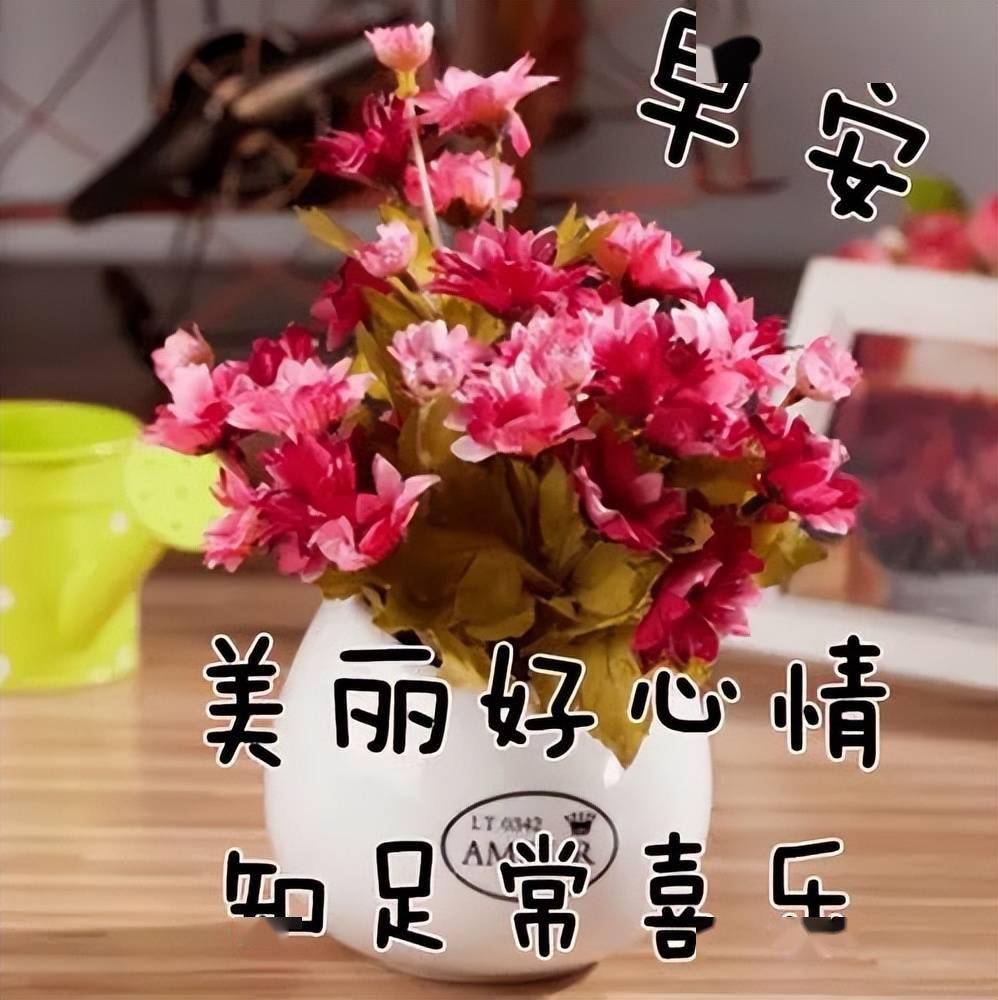 无论如何选择,只要是自己的选择,就不存在对错与后悔.早安