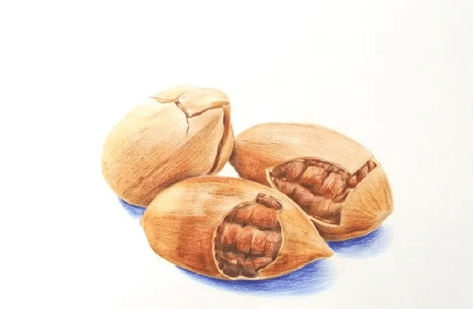 彩铅临摹步骤彩铅奶油核桃步骤图