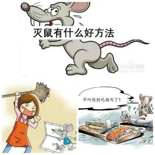 灭鼠 动画图片