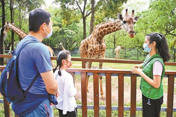 深圳野生动物园正式恢复开园迎客
