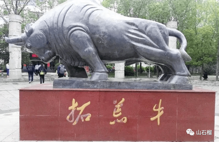 随笔张明国三牛精神之拓荒牛