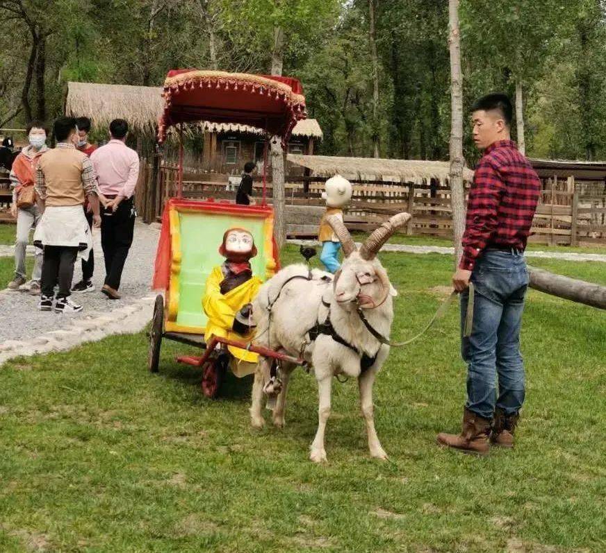 戀鄉生態農場 玉米冒險村