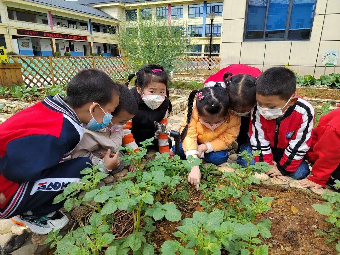 特殊教育|温暖相见！开化县幼儿园、特殊教育学校今天复学