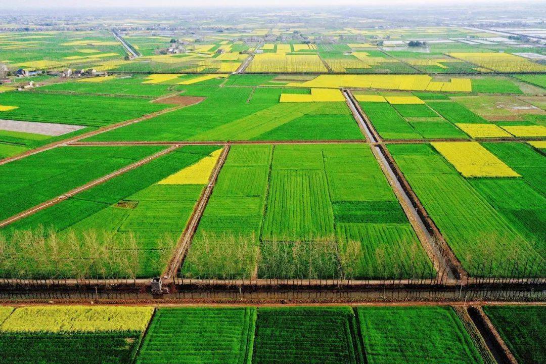 今年松滋将建成7.9万亩高标准农田_建设_洈水镇_农业