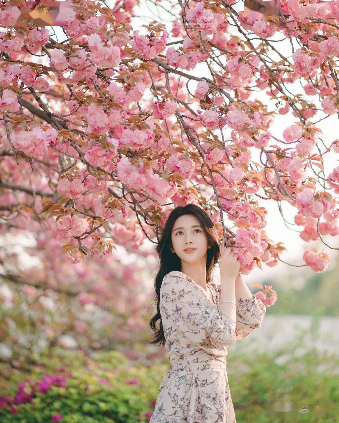 在花树下拍照片,别犯这5个大错误,春天摄影照片美美哒