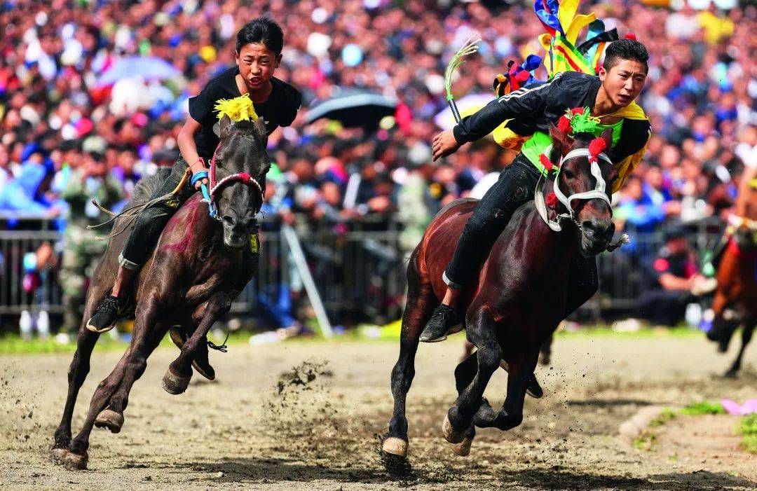 虎文化节上的赛马双柏彝族民族村感受双柏彝族虎文化节借助今年正月如