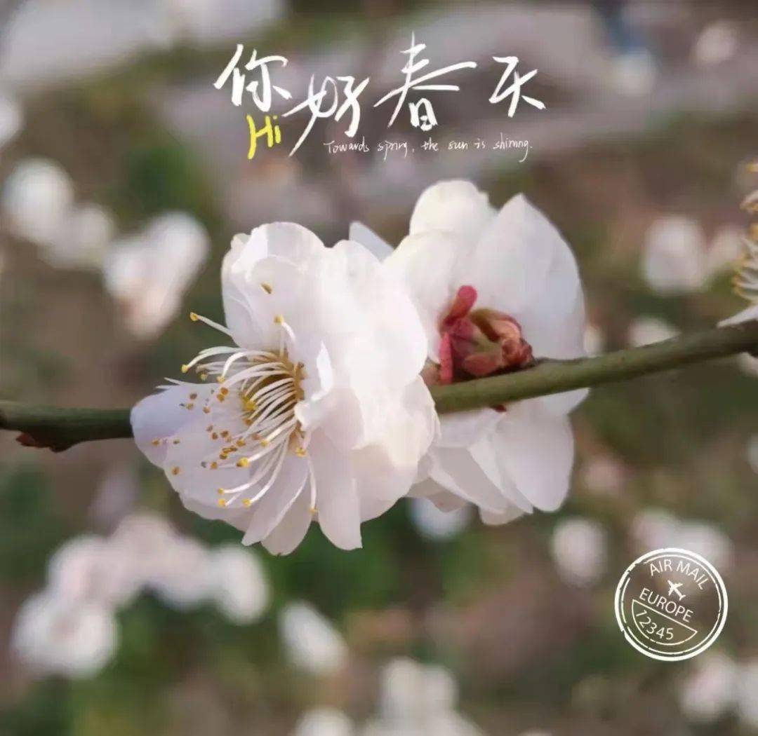 云上春日线上抗疫