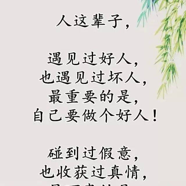 电影推荐的写作要点与示例指导