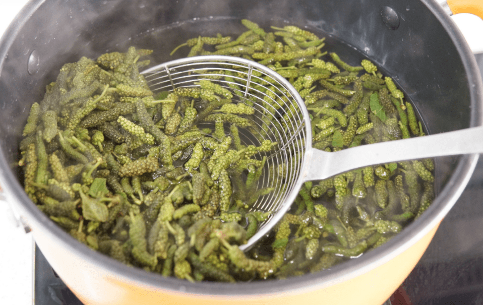 大妈_杨树_毛子