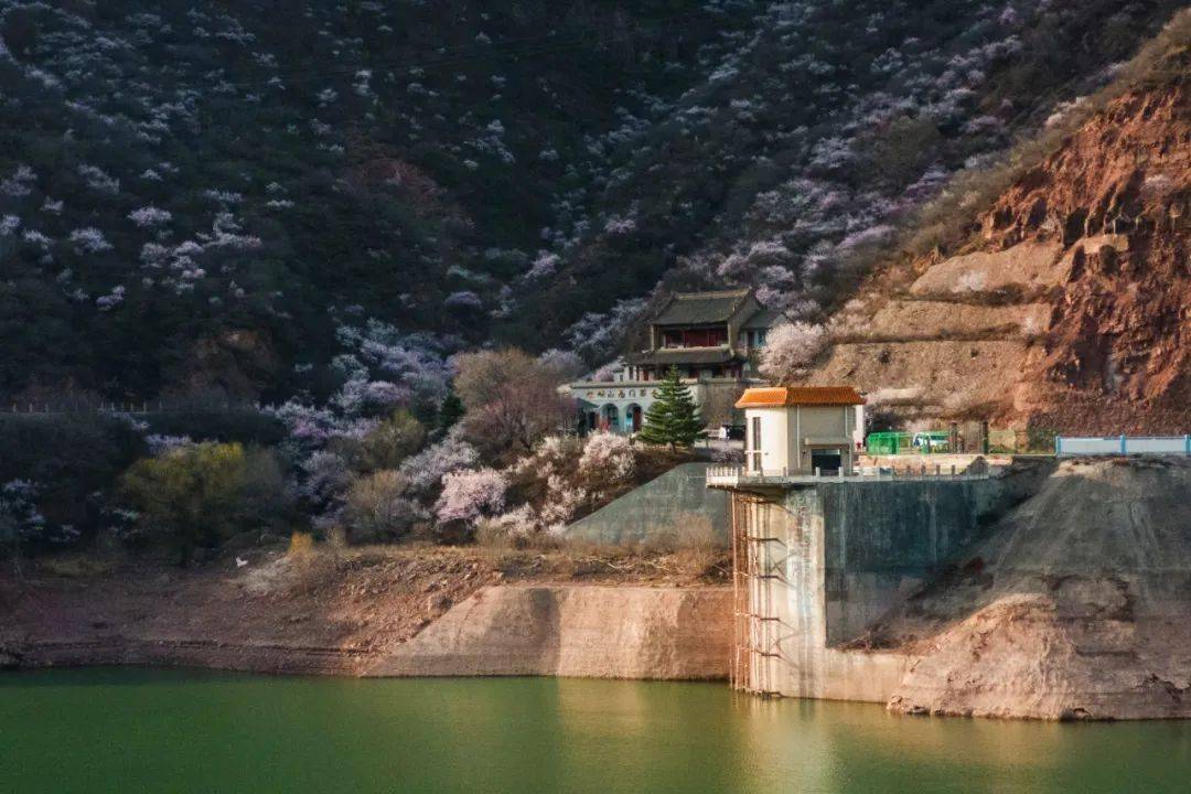 桃花盡日隨流水