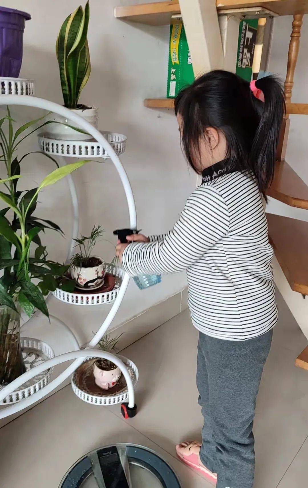 【幼小衔接】"家务小能手"活动纪实_劳动_生活_小园丁