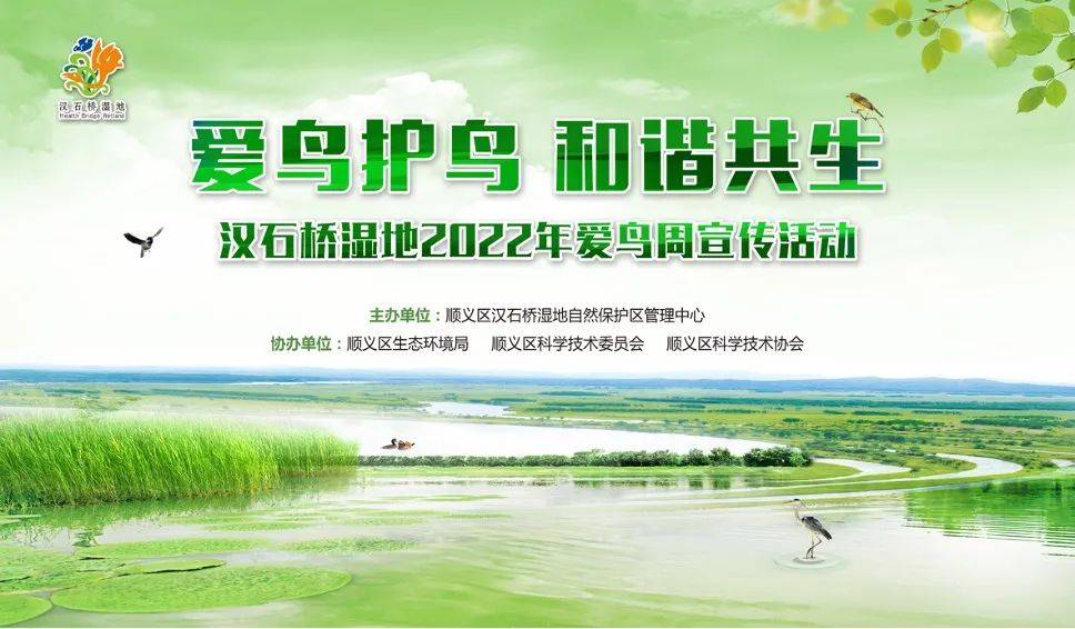 爱鸟周活动据了解以及鸟类保护的重要方法讲解了鸟类分类的基础知识