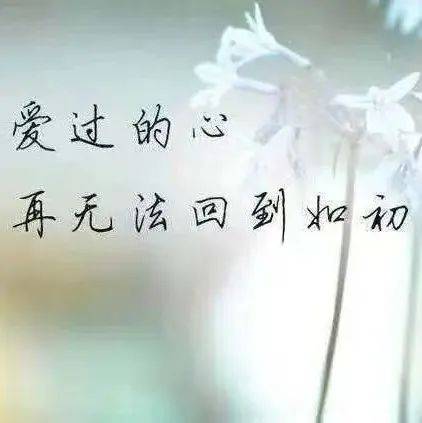 有一种爱......_湖水_是一种_堤岸