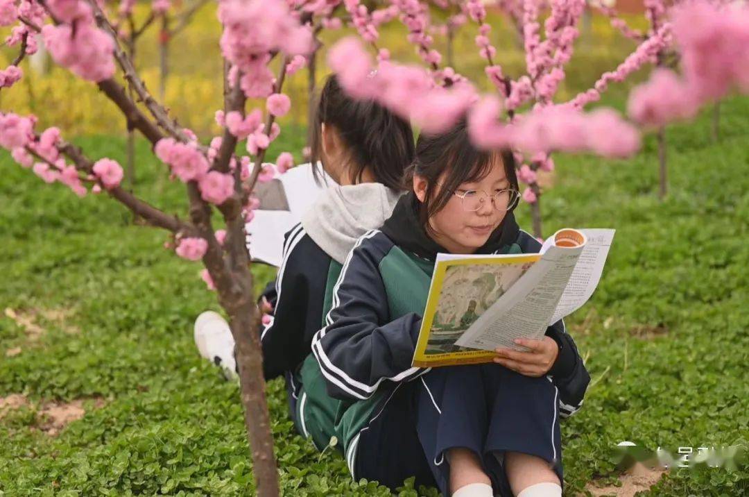 印象旬邑旬邑中学繁花似锦一幅春日画卷正次第展开