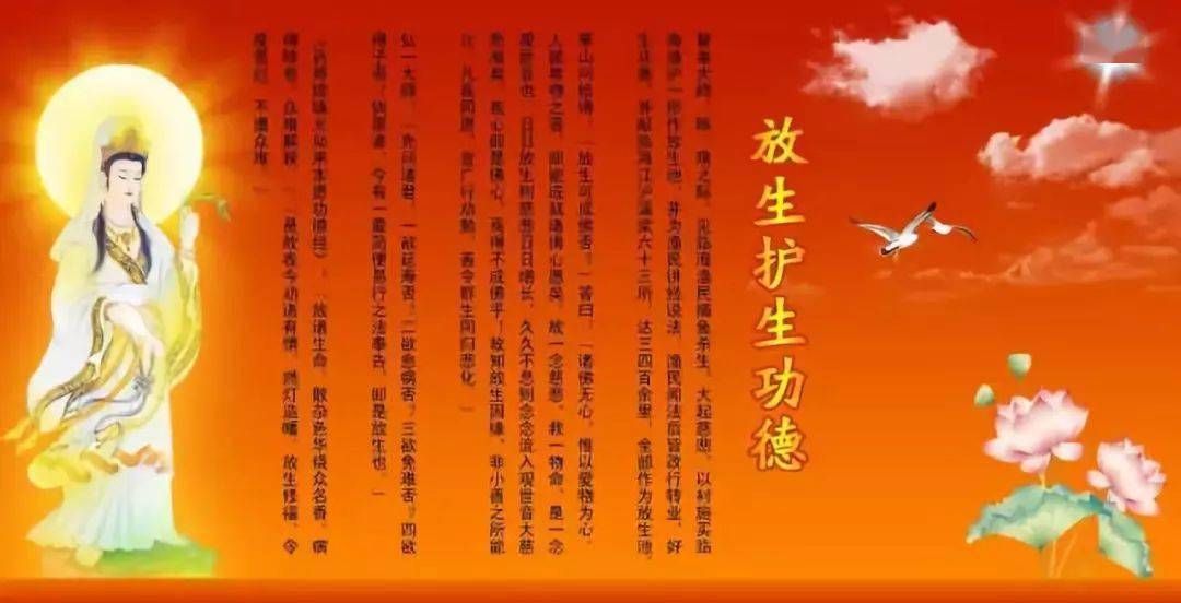 坚持放生,脸上长出了阴鸷纹!不可思议!_功德_生命_菩萨