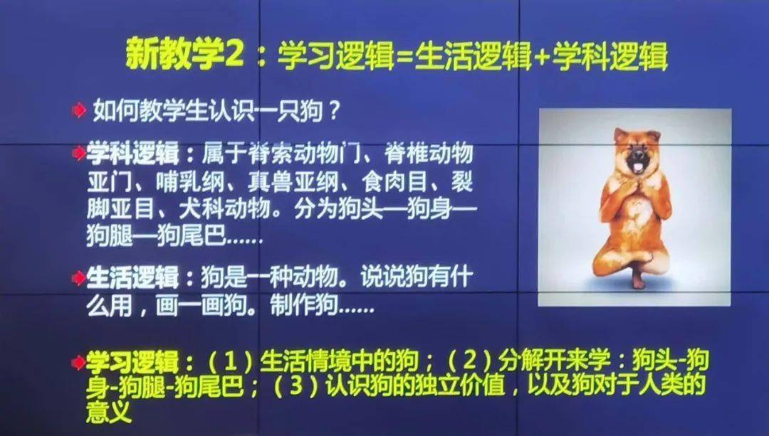 学科逻辑是什么,把一只狗分解,先学狗头再学狗身,狗腿,最后学狗尾巴.