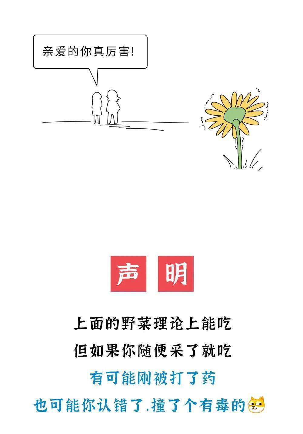 张慧敏_东东_柳州