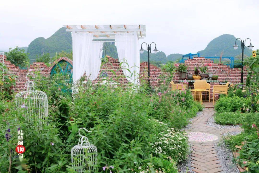 桂林红顶花园的绣球花开啦分分钟拍出大片带孩子趁人少快来打卡吧