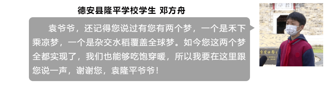【清明寄语】德安:清明时节忆隆平!_袁隆平_袁家山_鲜花