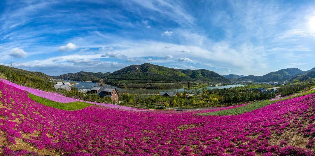 【文明风景线】集思广益!说说甘井子的春天在哪里?_征集_大连_攻略