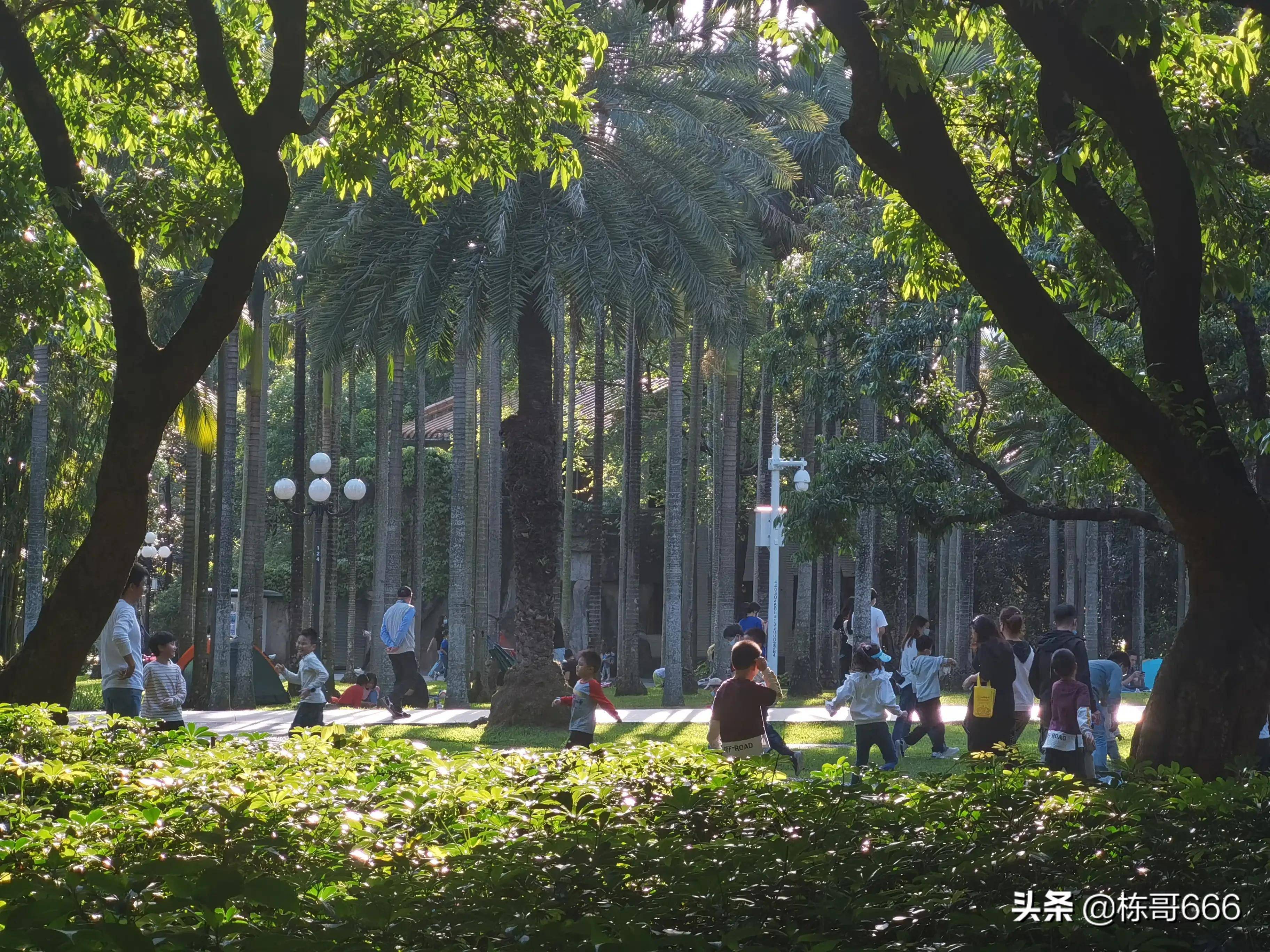 清明节假期第一天的深圳荔枝公园人多很热闹快乐过清明节