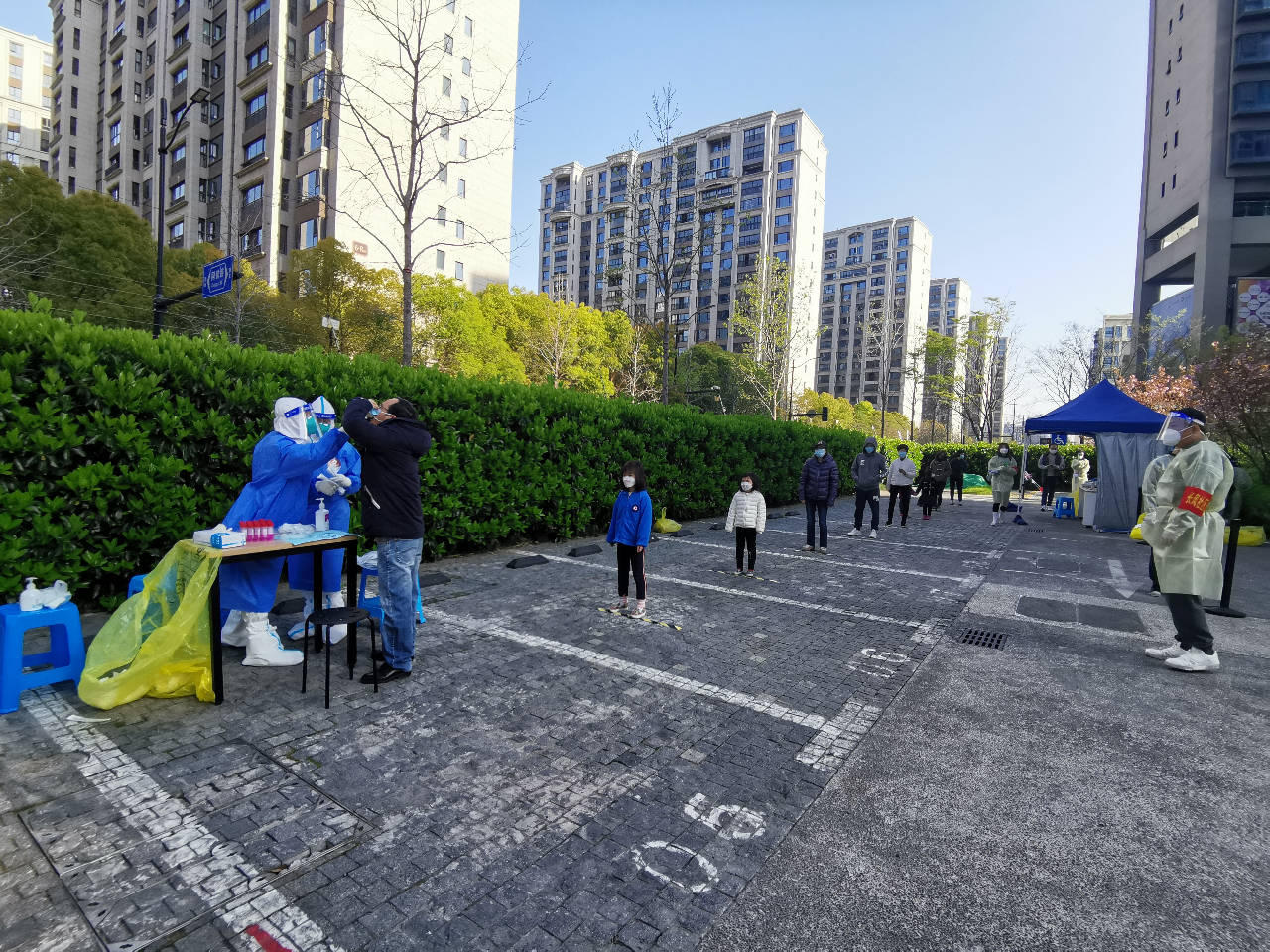 枫林街道 核酸图片