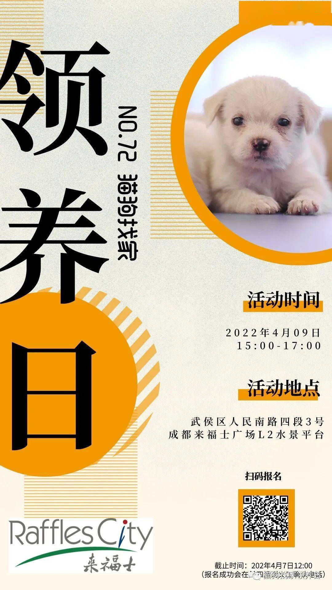 no72线下领养日待领养宠物报名通道开启