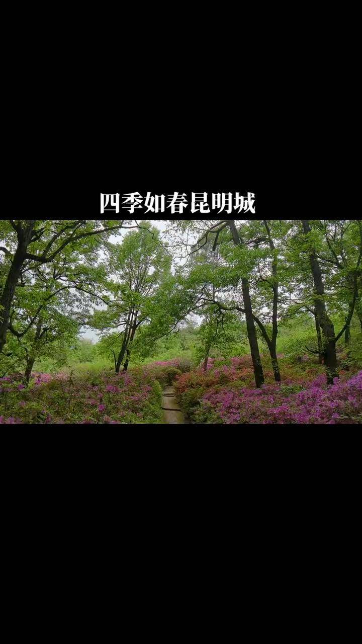 上热门四季如春昆明城