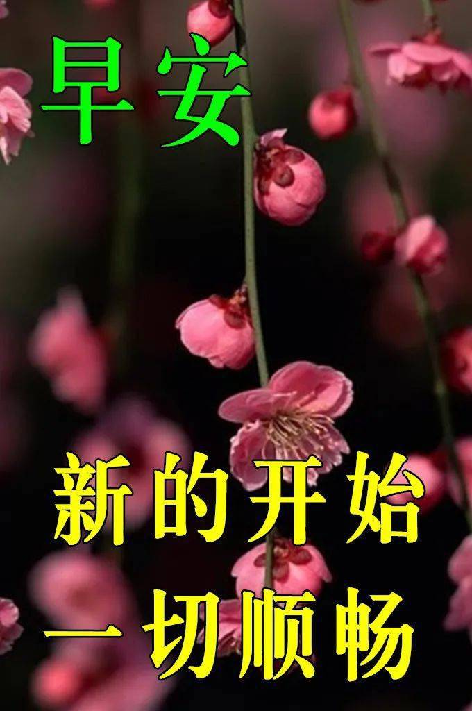 4月6日早上好祝福语图片大全问候动态表情图片大全