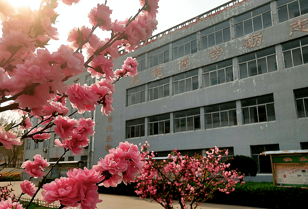 桓台县陈庄中学博山一中草树知春不久归,百般红紫斗芳菲.