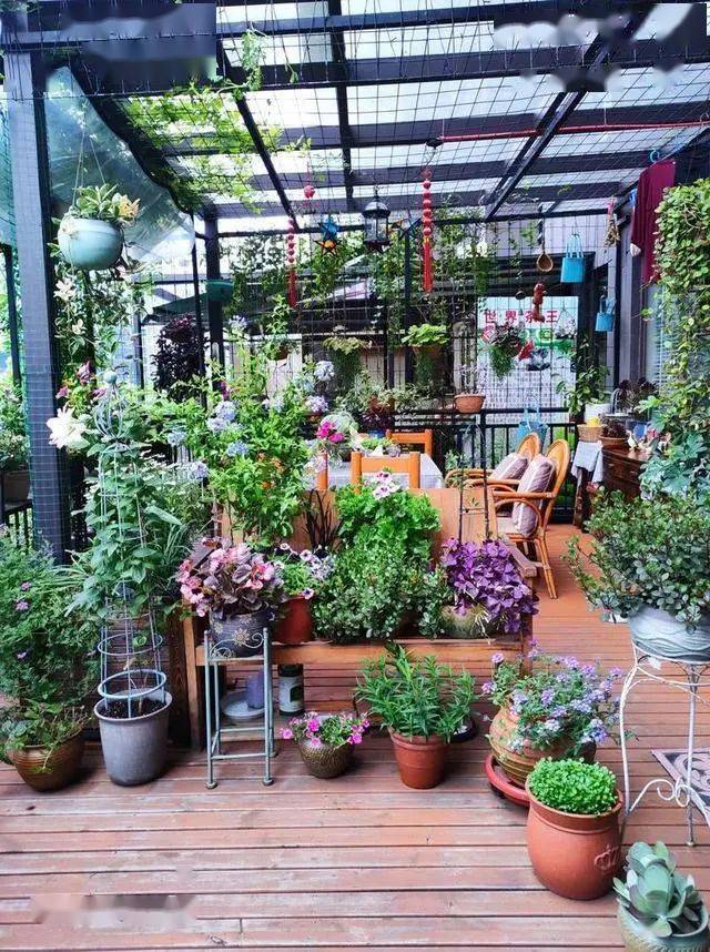 50后老奶奶花2年造了个70平米露台花园她说有梦想要趁早规划别等老了