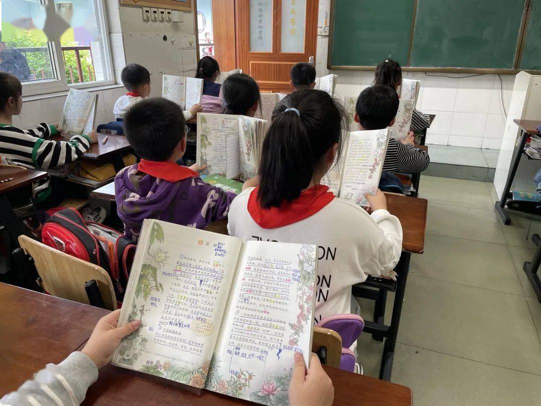 校园新闻花开有时各美其美花钟亮相争奇斗艳