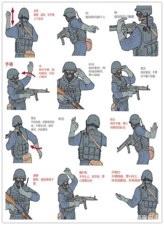 lt特种兵体验日gt无格研学少年先锋营真人cs拓展训练营4月10日集结