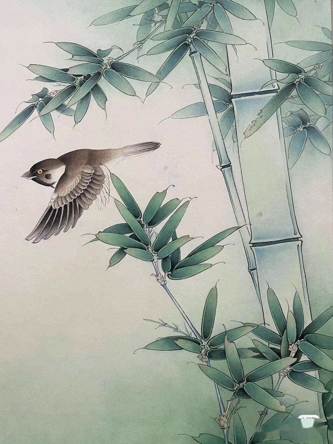 麻雀竹子图绘画步骤